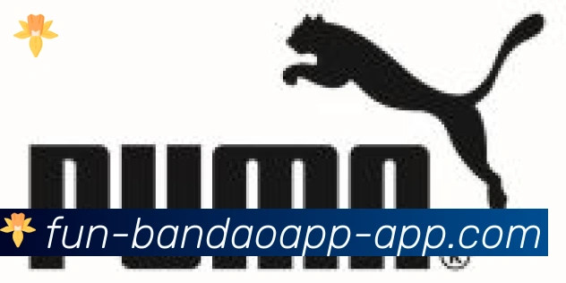 半岛体育app合作伙伴